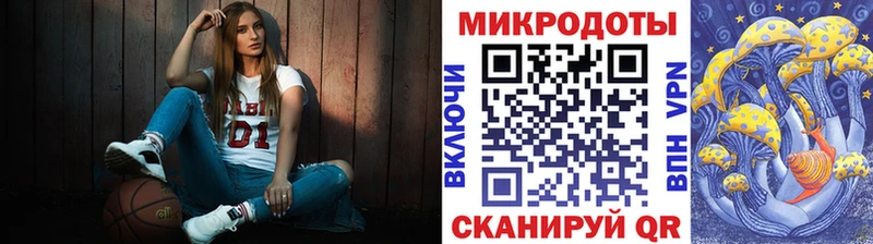 как найти закладки Партизанск Галлюциногенные грибы Psilocybine cubensis